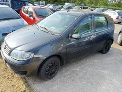 Schwarz Gebraucht 2003 Fiat Punto Dynamic Kleinwagen | 800 € (Fairer Preis)