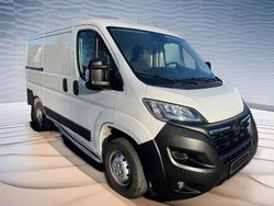 Weiß Gebraucht 2024 Opel Movano Edition Van / Kleinbus | 24.600 € (Fairer Preis)