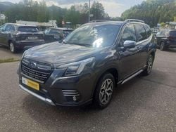 Magnetite gray Gebraucht 2024 Subaru Forester Comfort SUV | 35.990 € (Guter Preis)