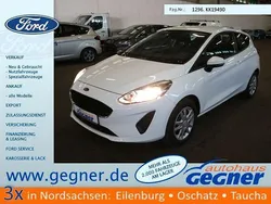 Frostweiss Gebraucht 2019 Ford Fiesta Trend Kleinwagen | 10.840 € (Guter Preis)