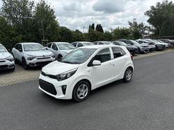 Weiss Gebraucht 2024 Kia Picanto Vision Kleinwagen | 14.180 € (Fairer Preis)