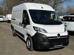 Weiss Neu 2025 Opel Movano Van | 34.391 € (Etwas zu teuer)
