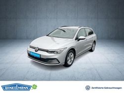Silber Gebraucht 2022 VW Golf VIII Life Kombi | 18.250 € (Superpreis)