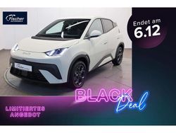 Apricity white Neu 2025 BYD Dolphin Comfort Kleinwagen | 24.590 € (Fairer Preis)