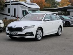 Candyweiss Gebraucht 2024 Skoda Octavia Ambition Kombi | 24.290 € (Guter Preis)