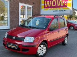Rot Gebraucht 2010 Fiat Panda Kleinwagen | 2.999 € (Etwas zu teuer)