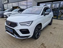 Weiß Neu 2024 Cupra Ateca VZ SUV | 51.912 € (Teuer)