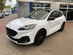 Weiß (frostweiß) Neu 2024 Ford Kuga ST-Line X SUV | 31.950 € (Fairer Preis)