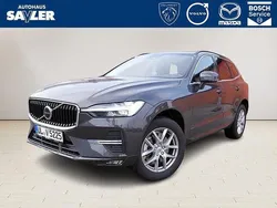 Grau Gebraucht 2023 Volvo XC60 Core SUV | 48.990 € (Fairer Preis)