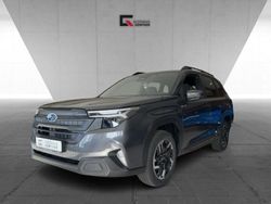Grau Neu 2025 Subaru Forester Exclusive+ SUV | 41.990 € (Fairer Preis)