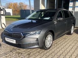 Graphite grau Neu 2025 Skoda Octavia Selection Kombi | 33.990 € (Fairer Preis)