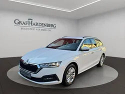 Weiß Gebraucht 2022 Skoda Octavia Ambition Kombi | 18.888 € (Guter Preis)