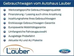 Grau (magneticgrau (metallic)) Gebraucht 2024 Ford Transit Custom Trend Limousine | 34.790 € (Teuer)