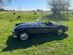MG 1600