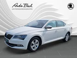 Weiß Gebraucht 2019 Skoda Superb Ambition Limousine | 24.890 € (Teuer)