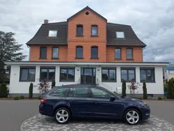 Blau Gebraucht 2017 Skoda Octavia Drive Limousine | 13.950 € (Guter Preis)