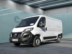 Weiß Gebraucht 2024 Fiat Ducato Van | 30.699 € (Fairer Preis)