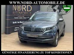 Grau Gebraucht 2021 Skoda Kodiaq SUV | 30.990 € (Guter Preis)