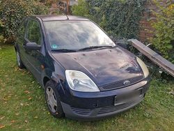 Blau Gebraucht 2004 Ford Fiesta Kleinwagen | 550 €