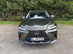 Grün Gebraucht 2022 Lexus NX450h+ E-FOUR Executive Line SUV | 46.550 € (Fairer Preis)