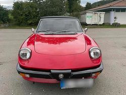 Rot Gebraucht 1987 Alfa Romeo Spider Cabrio | 12.999 €