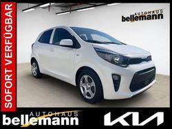 Weiss Gebraucht 2024 Kia Picanto Vision Kleinwagen | 14.490 € (Fairer Preis)