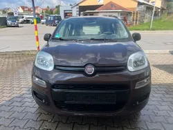 Braun Gebraucht 2012 Fiat Panda Kleinwagen | 4.999 € (Fairer Preis)