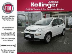 Weiß Gebraucht 2024 Fiat Panda Kleinwagen | 14.844 € (Fairer Preis)