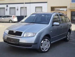 Grau Gebraucht 2004 Skoda Fabia Ambiente Kombi | 3.490 € (Teuer)
