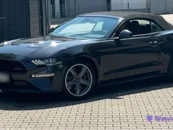 Grau Gebraucht 2023 Ford Mustang GT Cabrio | 46.600 € (Superpreis)