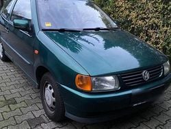 Grün Gebraucht 1996 VW Polo Kleinwagen | 820 € (Guter Preis)