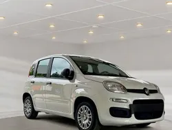 Weiß Neu 2025 Fiat Panda Kleinwagen | 14.990 € (Fairer Preis)