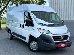Weiß Gebraucht 2017 Fiat Ducato Van | 9.950 €