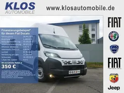 Ducato weiss Neu 2025 Fiat Ducato Van | 39.990 € (Etwas zu teuer)