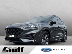 Grau Gebraucht 2023 Ford Kuga ST-Line SUV | 28.990 € (Teuer)