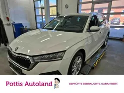 Weiss Gebraucht 2023 Skoda Octavia Style Kombi | 24.977 € (Guter Preis)
