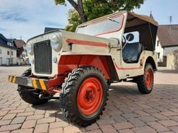 Weiß Gebraucht 1955 Jeep Willys SUV | 13.500 €