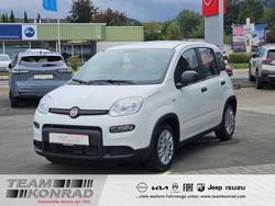 Gelato weiß Gebraucht 2024 Fiat Panda Kleinwagen | 13.950 € (Fairer Preis)