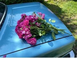 Blau Gebraucht 1974 Volvo 164 Limousine | 10.900 €