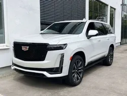 Crystal white tricoat Neu 2025 Cadillac Escalade SUV | 119.700 €