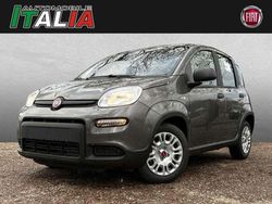 Grau Gebraucht 2023 Fiat Panda Kleinwagen | 12.490 € (Fairer Preis)