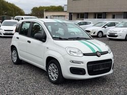 Weiß Gebraucht 2020 Fiat Panda Easy Kleinwagen | 6.999 € (Guter Preis)