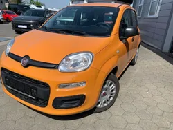 Colore esterno (orange) Gebraucht 2020 Fiat Panda Easy Kleinwagen | 10.500 € (Fairer Preis)