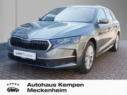 Graphitegrau metallic Gebraucht 2024 Skoda Octavia Selection Kombi | 31.310 € (Guter Preis)