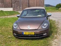 Braun Gebraucht 2014 VW Beetle | 15.000 € (Etwas zu teuer)
