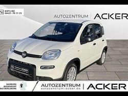 Colosseo grau Neu 2024 Fiat Panda Tech Kleinwagen | 13.280 € (Guter Preis)