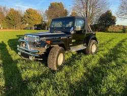 Schwarz Gebraucht 1992 Jeep Wrangler SUV | 14.500 €