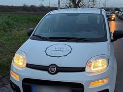 Weiß Gebraucht 2015 Fiat Panda Mystyle Kleinwagen | 5.900 € (Guter Preis)