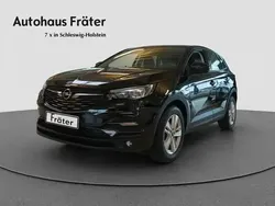 Blau Gebraucht 2019 Opel Grandland X Innovation SUV | 17.490 € (Guter Preis)