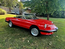 Rot Gebraucht 1983 Alfa Romeo Spider Cabrio | 19.400 €